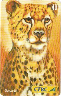 CTBC-T-0762 - Felinos - 3/5